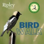 Spring Birding Walk