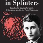 The Moon in Splinters