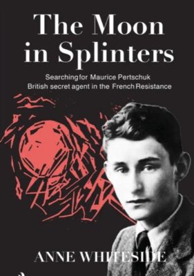 The Moon in Splinters