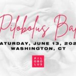 Pilobolus Ball 2026