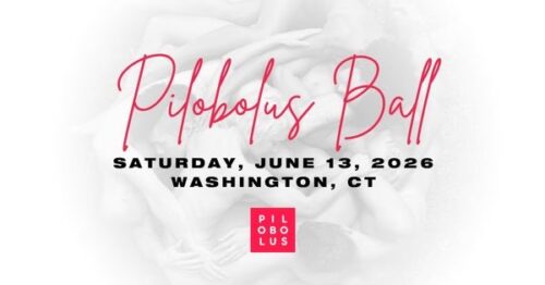 Pilobolus Ball 2026