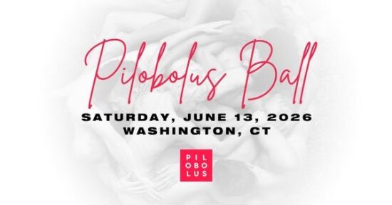 Pilobolus Ball 2026