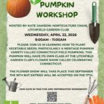 Pumpkin Workshop