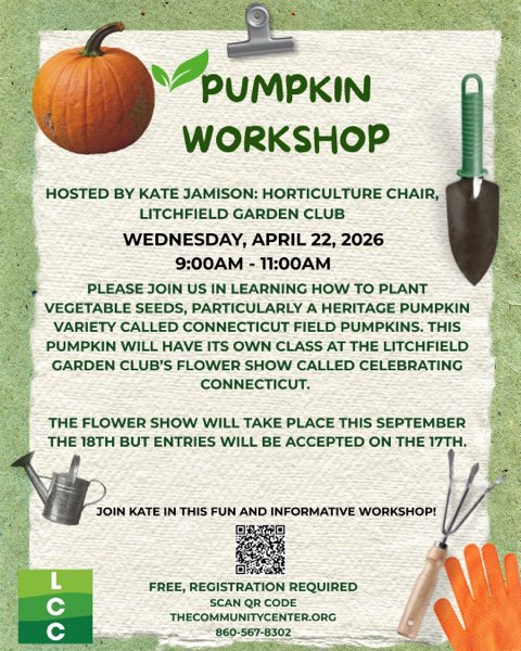 Pumpkin Workshop