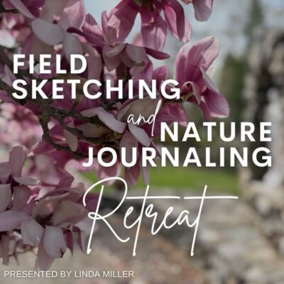 Field Sketching Retreat
