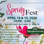 Spring Fest