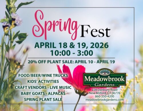 Spring Fest