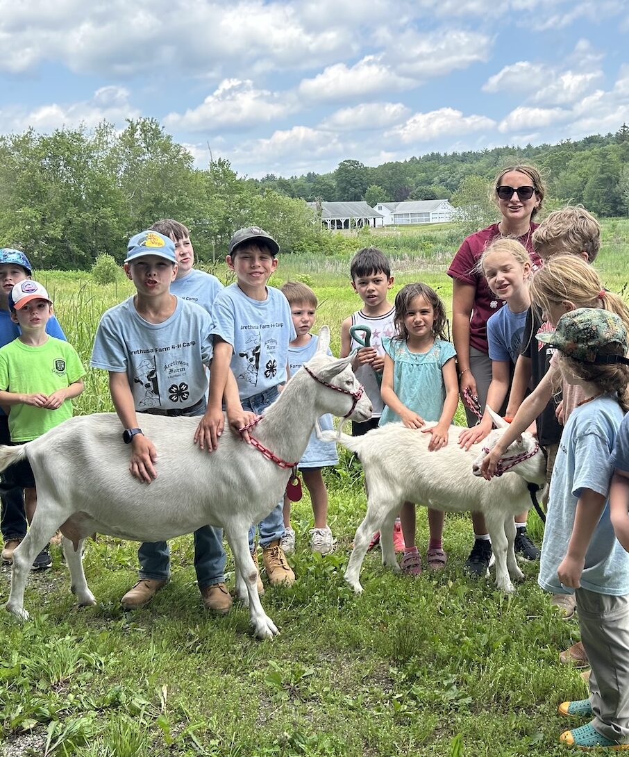 Where Childhood Meets the Working Farm
