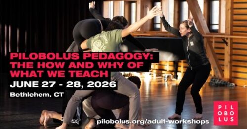 Pilobolus Pedagogy Workshop