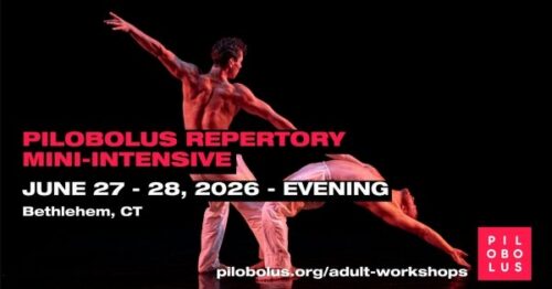 Pilobolus Rep Mini-Intensive
