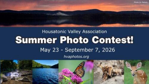 HVA Summer Photo Contest