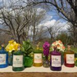 Spring Gin Stroll