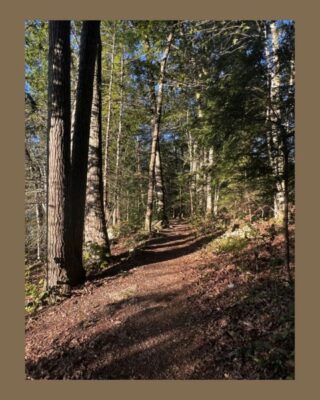 Live,Learn,Lunch: Nature Therapy