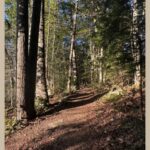 Live,Learn,Lunch: Nature Therapy