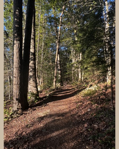 Live,Learn,Lunch: Nature Therapy