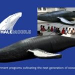 The Whalemobile at OWL