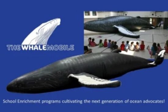 The Whalemobile at OWL