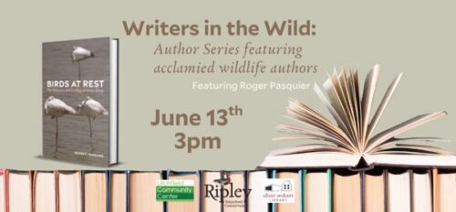 Writers in the Wild