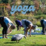 Yoga with the Birds