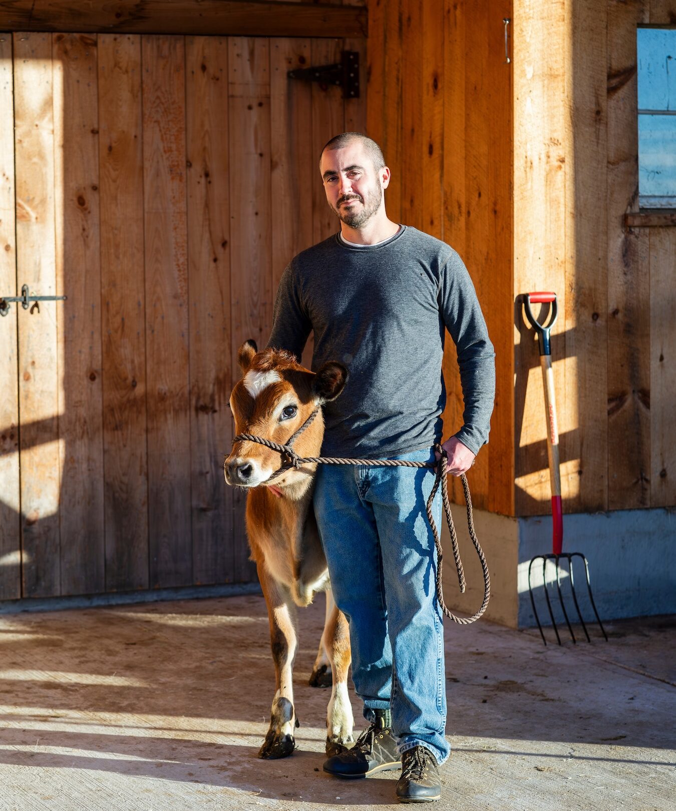 Coltsfoot Valley Farm Opens Alpine Cheese Shop in Cornwall