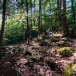 Open Group Hike in West Cornwall