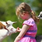 Kids Summer Reading Finale