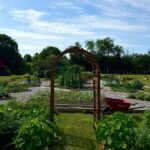 Winvian’s August Market