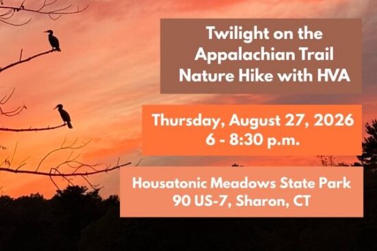 Twilight Hike on the AT