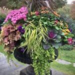 Designing Fall Containers