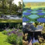 Visit 4 Beautiful Gardens