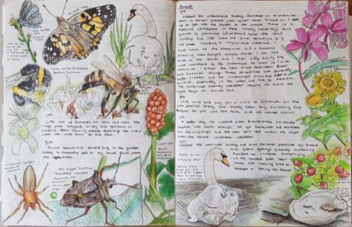 Nature Journaling Workshop