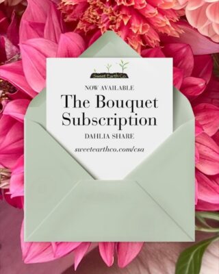 Dahlia Bouquet Subscription