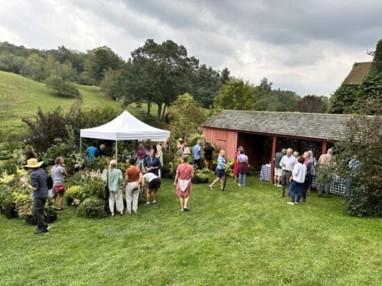 The Garden Party
