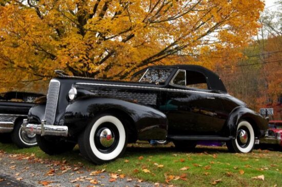 Cars for Kids Automobile Show