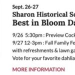 Best In Bloom Dahlia Festival