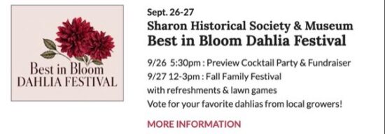 Best In Bloom Dahlia Festival